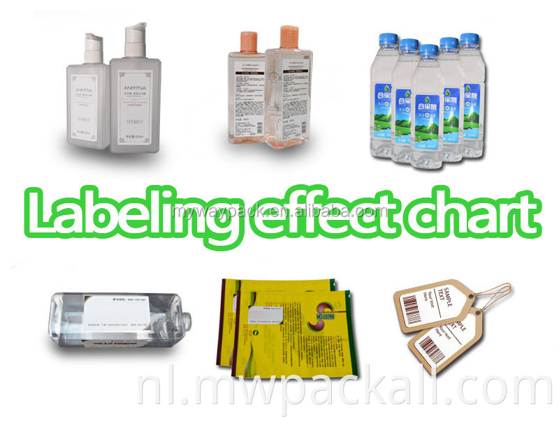 Automatische doos Carton zakzak Flat Labing Machine /Automatic Top Labeler geplaatste labels op de bovenkant van de containers